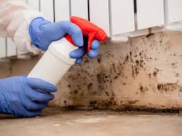 Best Comprehensive Air Testing for Mold Contaminants  in Mill Creek, WA